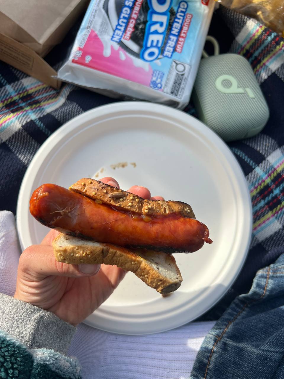 picnic snacks with grilled sausage and gluten-free Oreos, first view