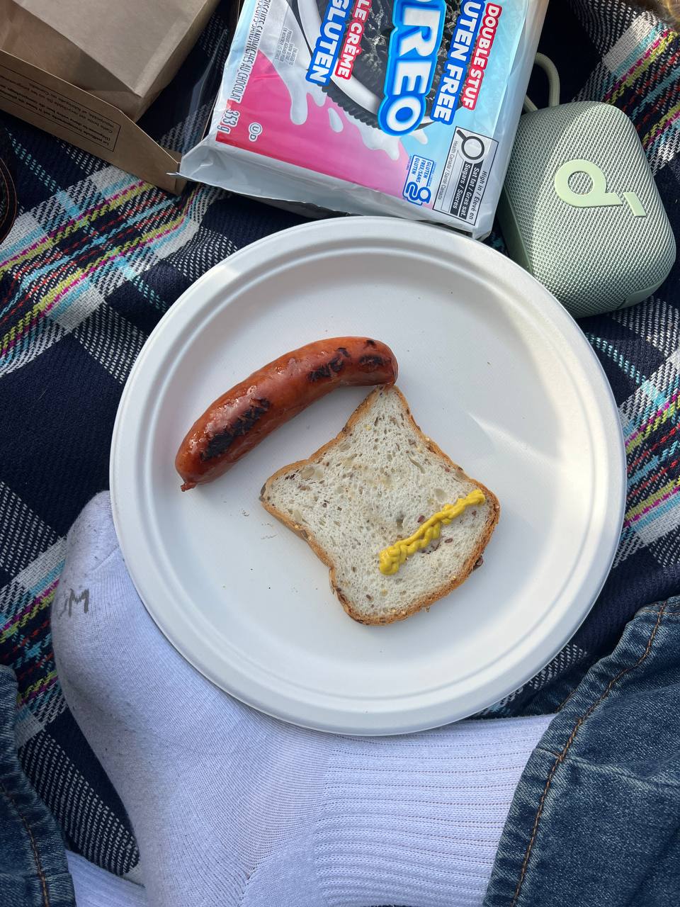 picnic snacks with grilled sausage and gluten-free Oreos, second view
